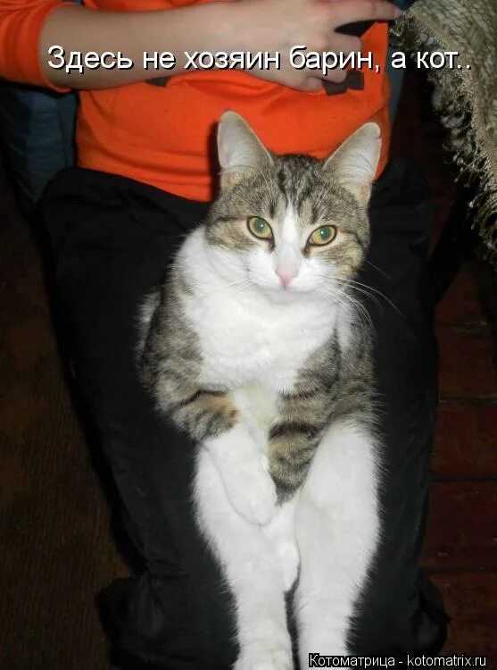 Хозяин барин. Хозяин барин прикол. Хозяин барин что значит. Тяжелый труд крепостных. Хозяин логотип.