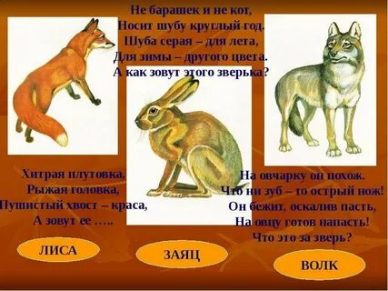 Летом шубу надевает а зимой ее