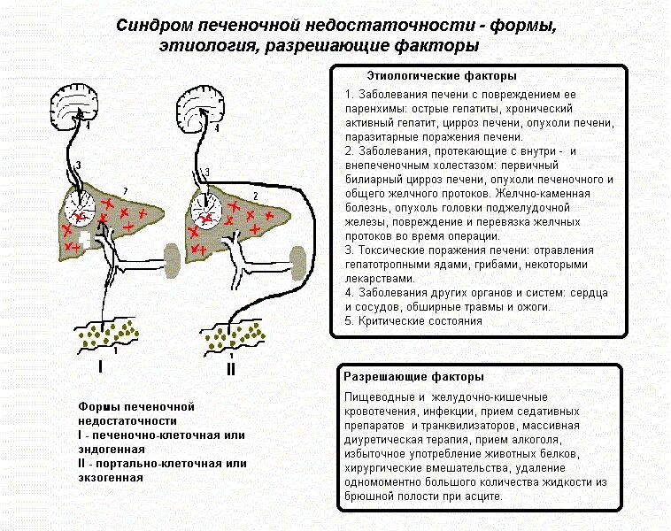 Клинические проявления печеночной недостаточности. Клинические синдромы и симптомы печеночной недостаточности. Этиология синдрома печеночной недостаточности. Острая печеночная недостаточность биохимия.