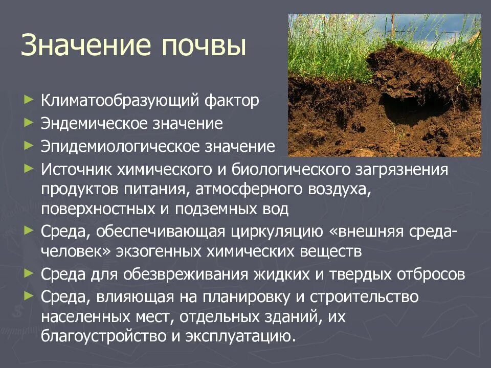 Какое значение почвы для человека. Значение почвы. природа почва. роль почвы для человека. значимость почвы.