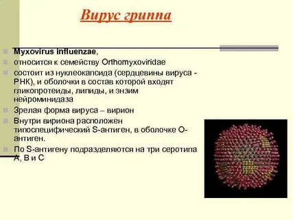 Инфлюэнца это