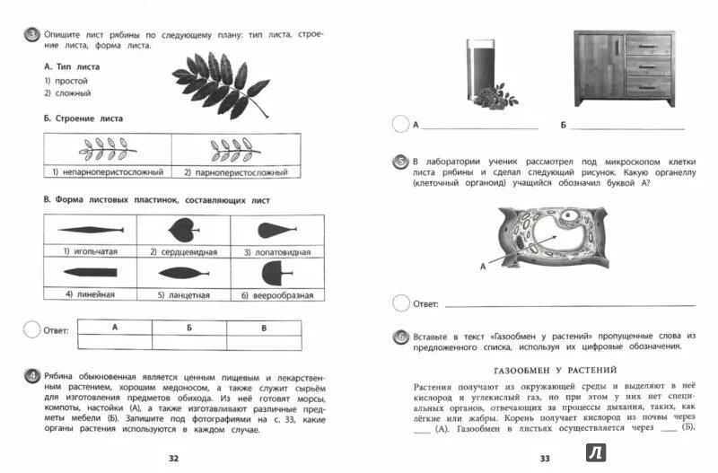 Темы впр по биологии 5 класс. Памятка по биологии 5 класс для ВПР. ВПР по биологии. ВПР биология 5. ВПР типовые задания 5 класс биология.