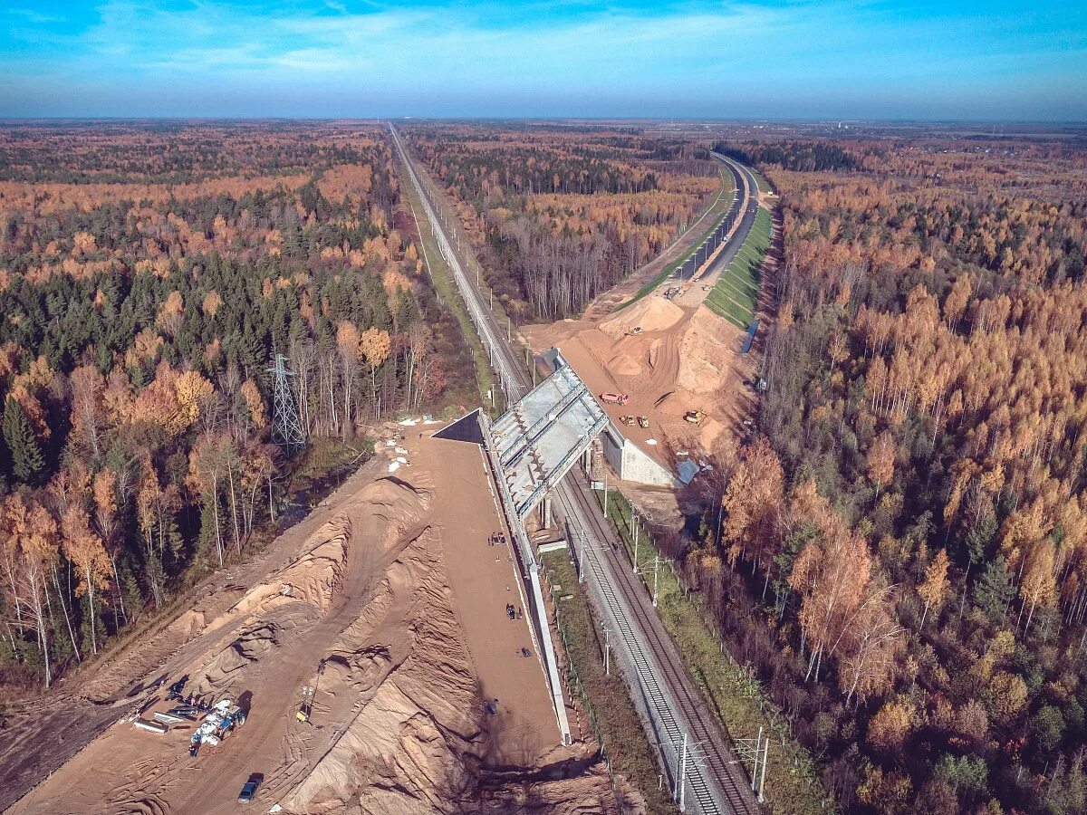 фото дороги москва питер. трасса на питер м11. бесплатная дорога до питера. бесплатная дорога до питера. трасса м11 москва санкт-петербург.