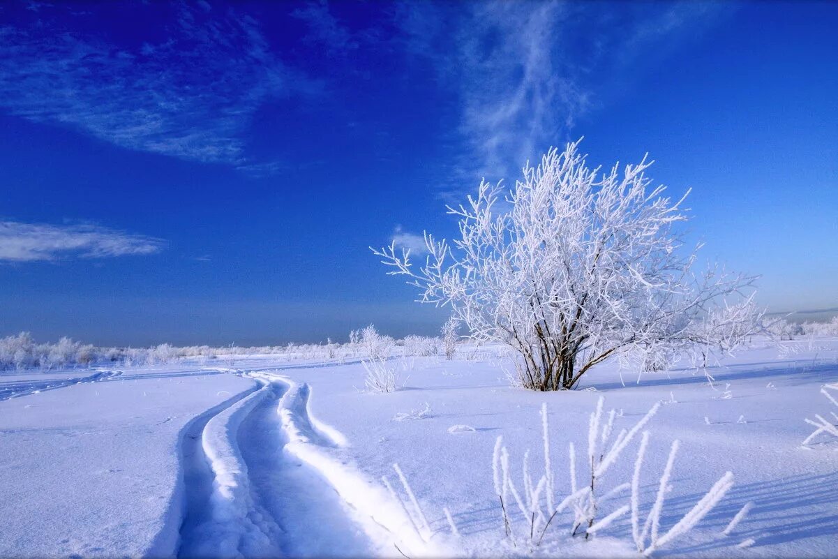 Зимний день ответы. Морозный зимний день. Ясное небо зимой. Морозный Ясный зимний день. Ясный Солнечный зимний день.