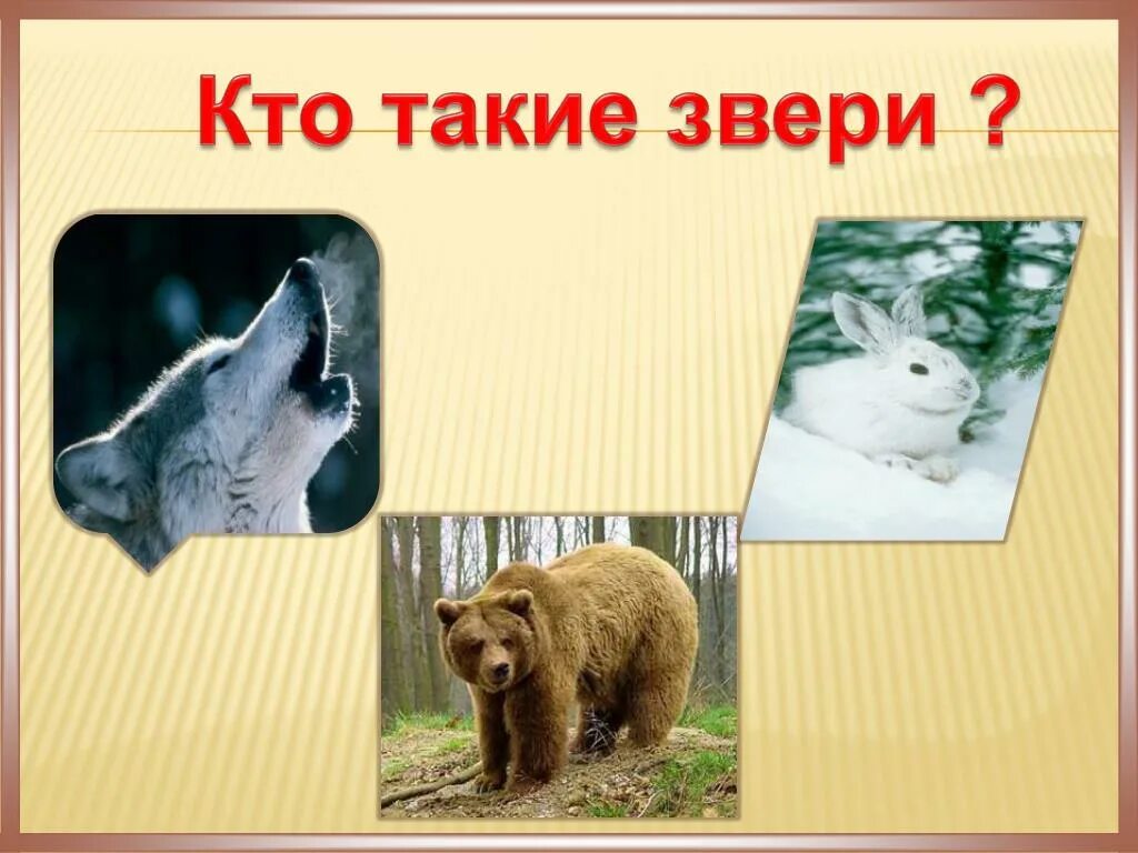 Мухометочка. Просто такая сильная любовь. Звери такие и. Презентация 1 класса животные. Звери такие и.