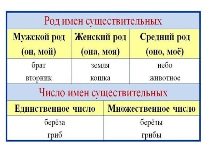 Мужской род русский язык 3 класс. Общий род существительных. Имена сущ общего рода. Общий род имен существительных. Род имени существительного общий род.