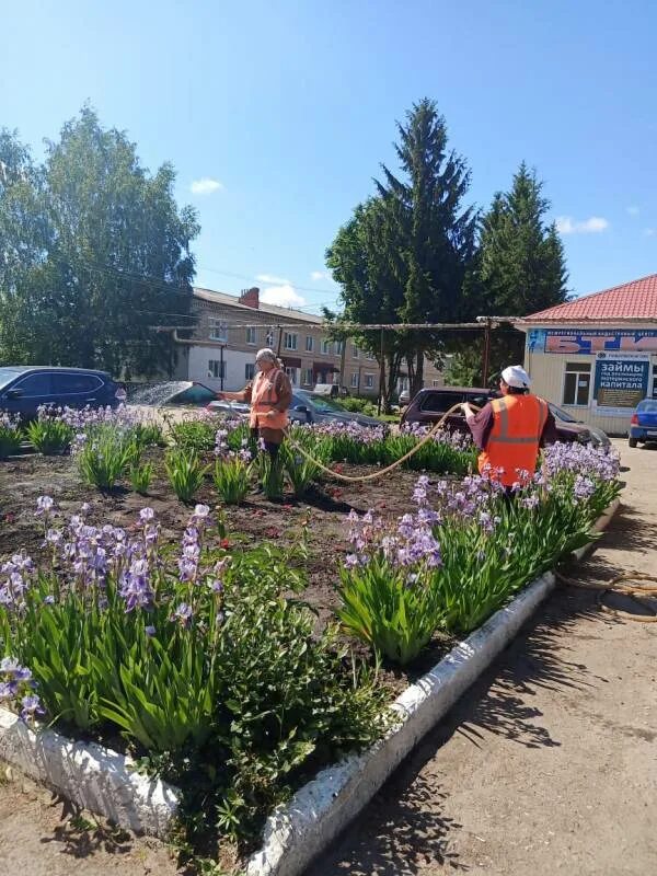 Цветы ртищево. Улица Куйбышева Ртищево. Улицы Ртищево. Г Ртищево Саратовская область. Ртищевский МУП по благоустройству.