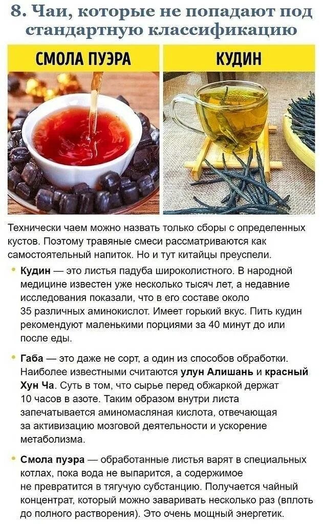 Чай кудин свойства цена. Кудин чай полезные. Полезные свойства чая. Кудин чай как заваривать правильно. Кудин Веретено чай.