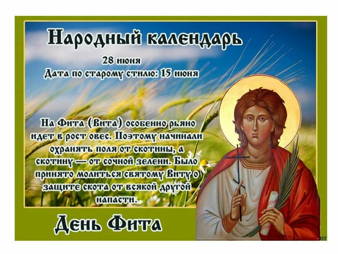 День фита 28 июня. Народные приметы 28 июля. День кирика и улиты 28 июля. Народные приметы 28 июня. 28 народный календарь.