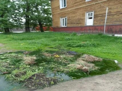 Судебный участок сыктывкар