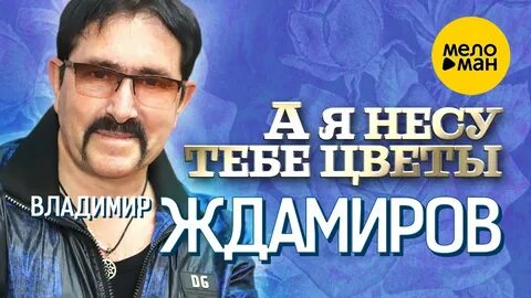 Ждамиров песни а я несу