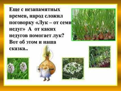 Помочь луке