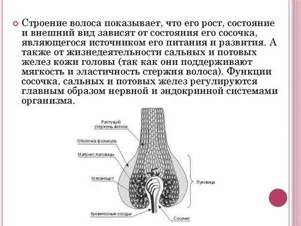 Строения зависит от