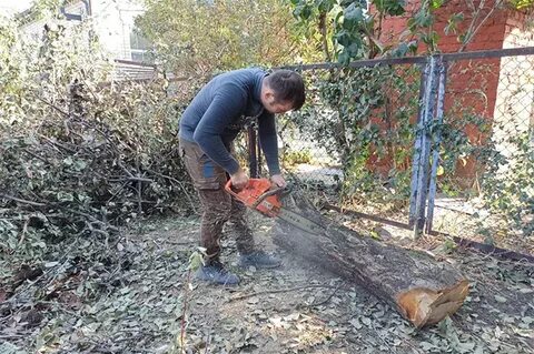 Погода в тихорецке на 10 точно