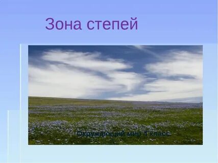В степной зоне преобладает