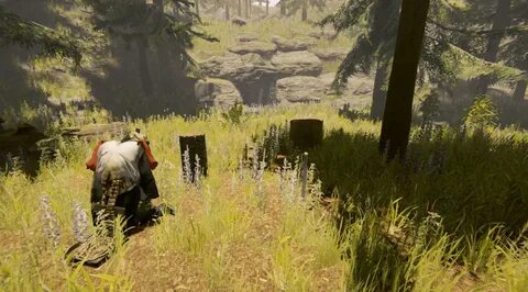 Forest найти