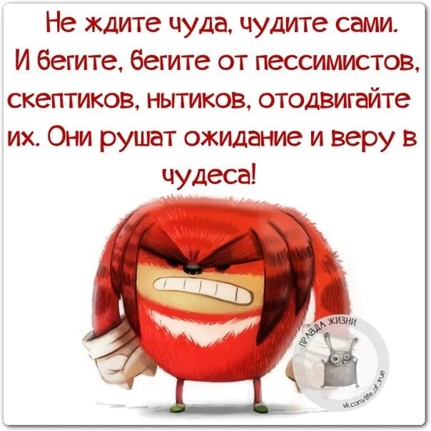 Высказывания про нытиков. Не ждите чудес чудите сами. Люди нытики цитаты. Анекдоты в картинках про нытиков.