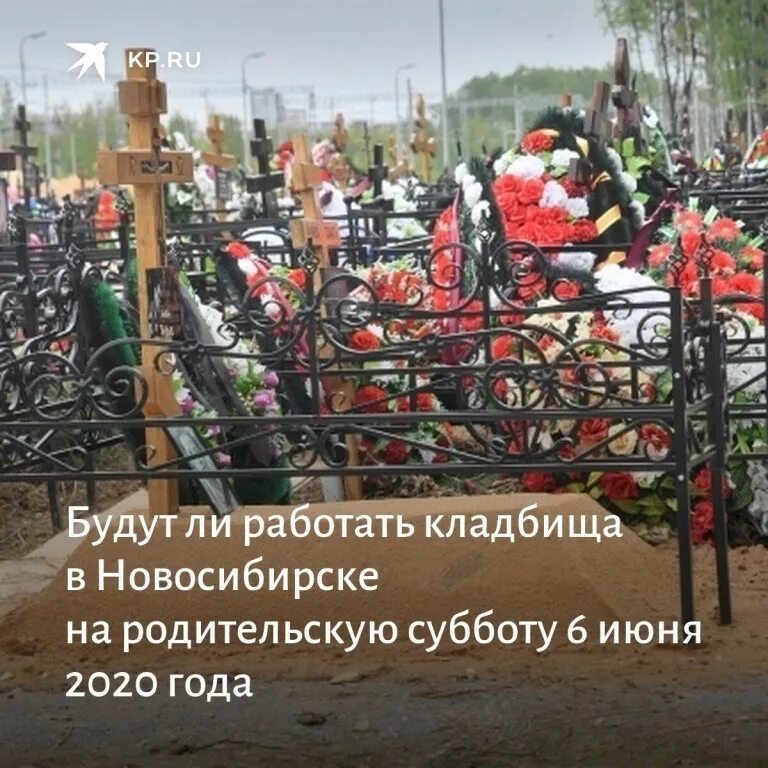 Кладбище Новомосковск. Новомосковское городское кладбище, Новомосковск. Как кладбище работает. Как понять что фото на кладбище сработало.