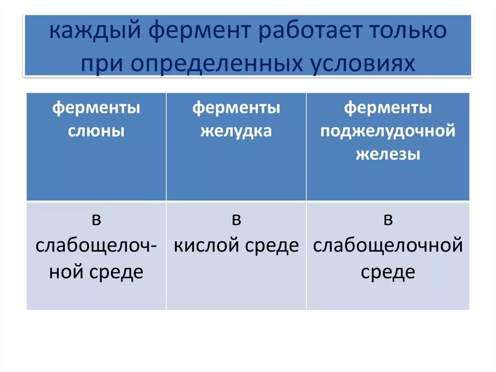 Ферменты активные в кислой среде. Ферменты слюны. Пищеварительные ферменты слюны. Основные ферменты слюны. Классификация ферментов слюны.