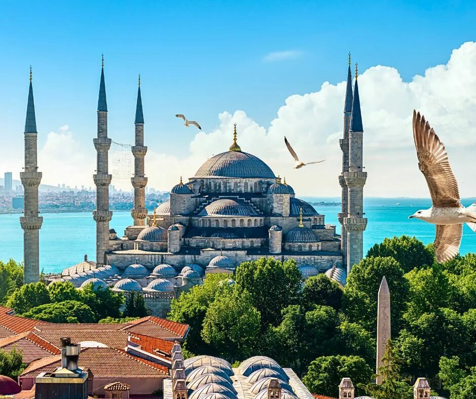Best turkey. Стамбул колорит. Турция фото. Турецкий колорит. Турция HD.