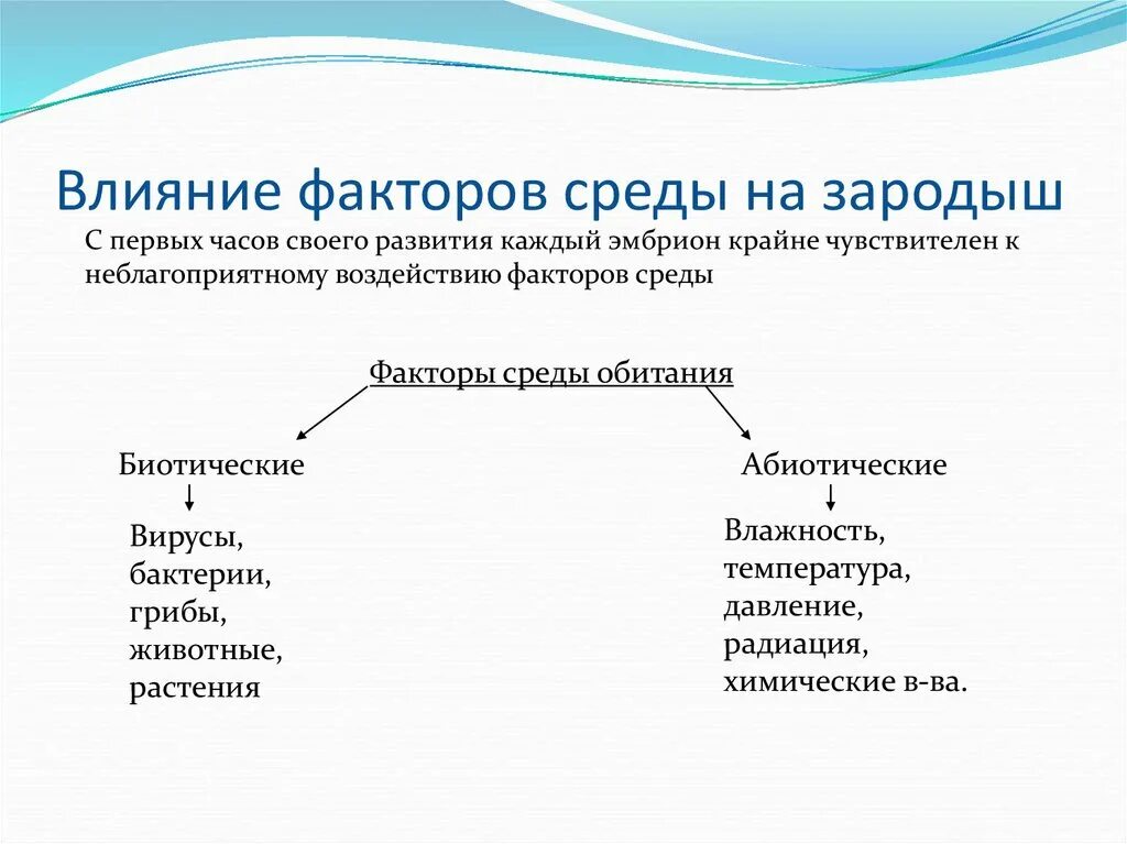 Влияние внешней среды на развитие эмбриона. Влияние факторов среды на онтогенез человека. Факторы влияющие на развитие организма. Факторы влияющие на онтогенез.