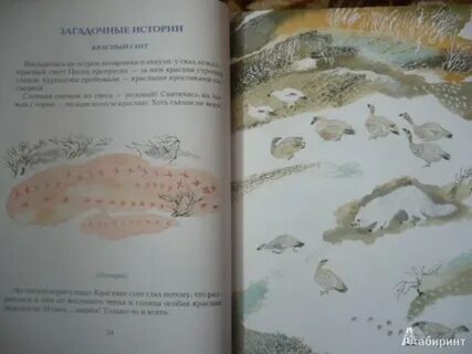 Загадочные истории н сладкова