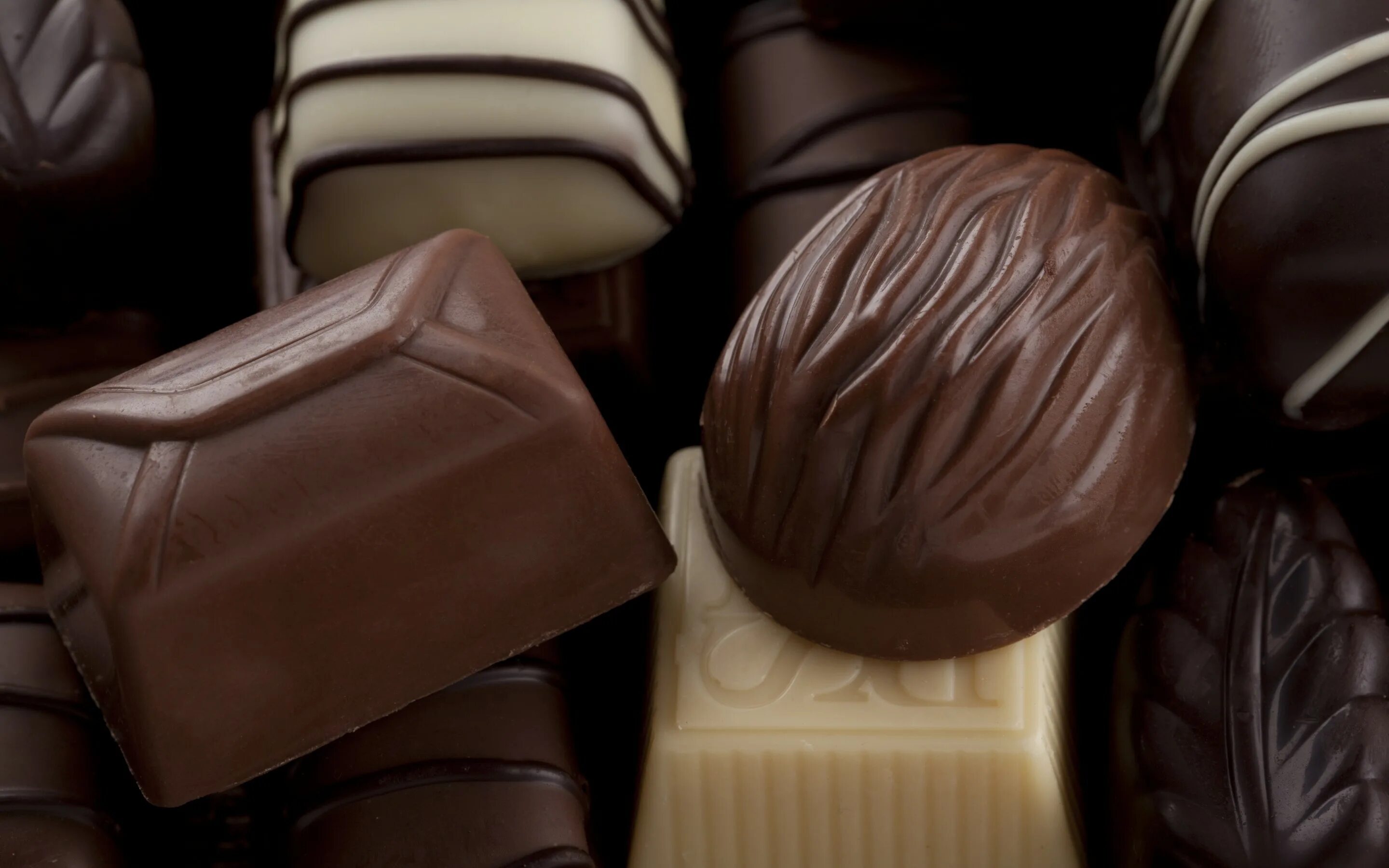 Chocolate is extracted from the