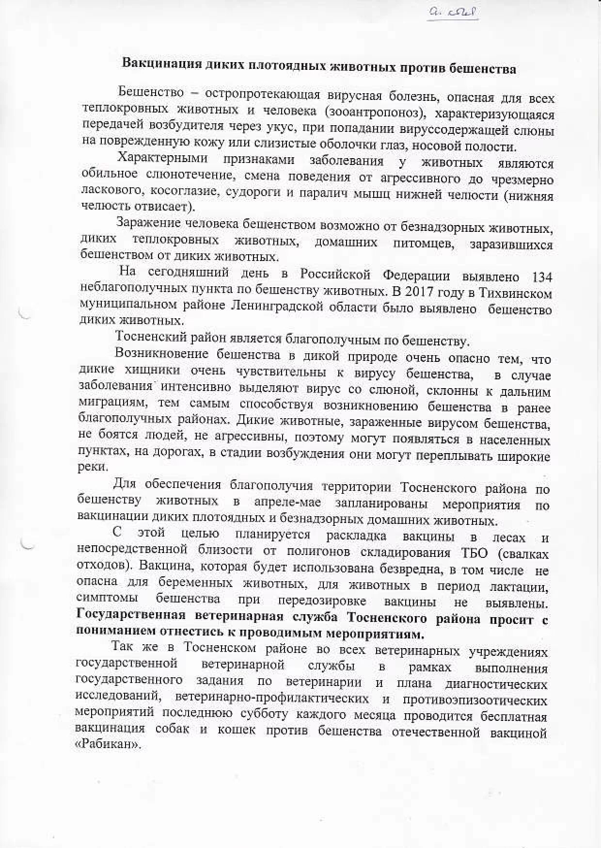 Вакцина рабиков. Вакцинация КРС против бешенства. Вакцинация против бешенства КРС инструкция по применению. Вакцина от бешенства диких плотоядных животных. Акт на вакцинацию собак против бешенства.