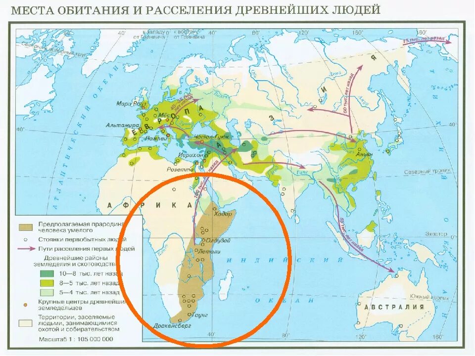 Расселение древних людей. Карта расселения древних людей. Места обитания и расселения древнейших людей карта. Карта расселения древнейших людей. Пути расселения древних людей на карте.