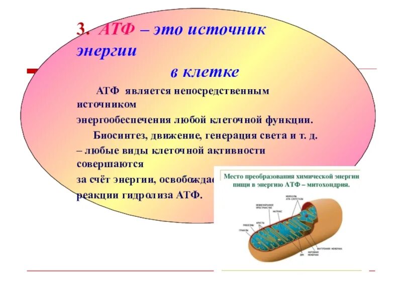 Функции атф. Роль АТФ В клетке. Синтез АТФ это в биологии. Функции АТФ В клетке.