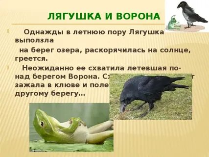 Вороной сочетания слов