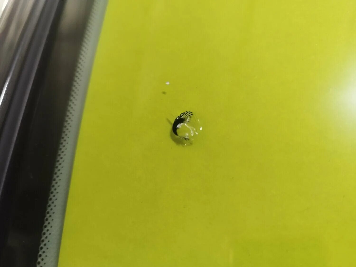 восстановление лобового стекла. починка трещин на лобовом стекле. ремонт автостекол в мытищах. ремонт автостекол в мытищах. починка лобового стекла.