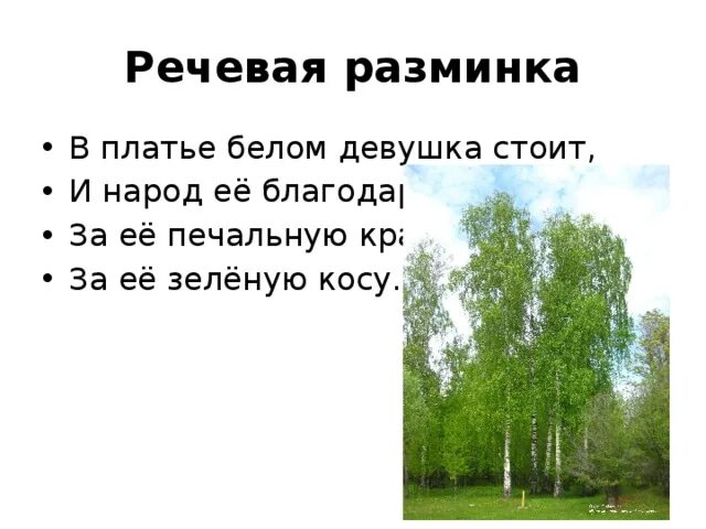 Я помню ранило березу автор. Васильев береза стихотворение. Васильев белая береза 2 класс. Стихотворение береза 2 класс литературное чтение. Белая берёза стих Васильев.