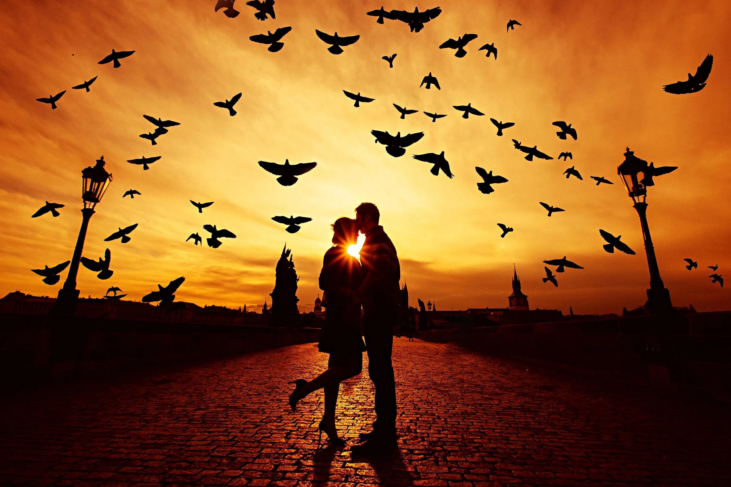 Песня последней птицы. Влюблённые. Романтичные птицы. Птица любви. Обои влюбленные.