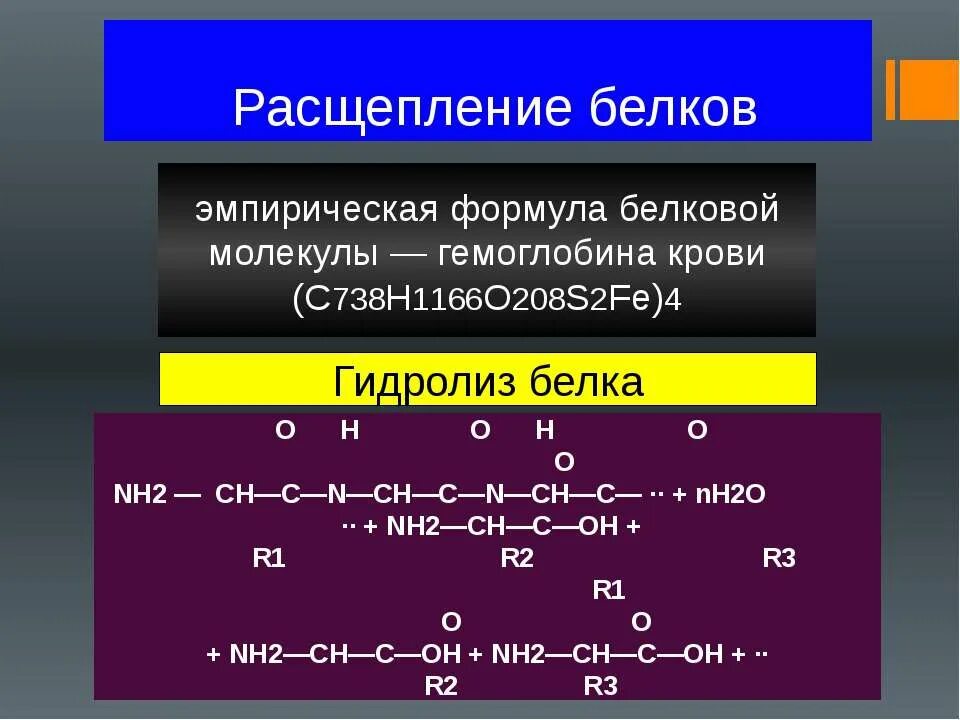 Где расщепление белки. Расщепление белков. Расщепление белков формула. Формула распада белка. Разложение молекулы белка.