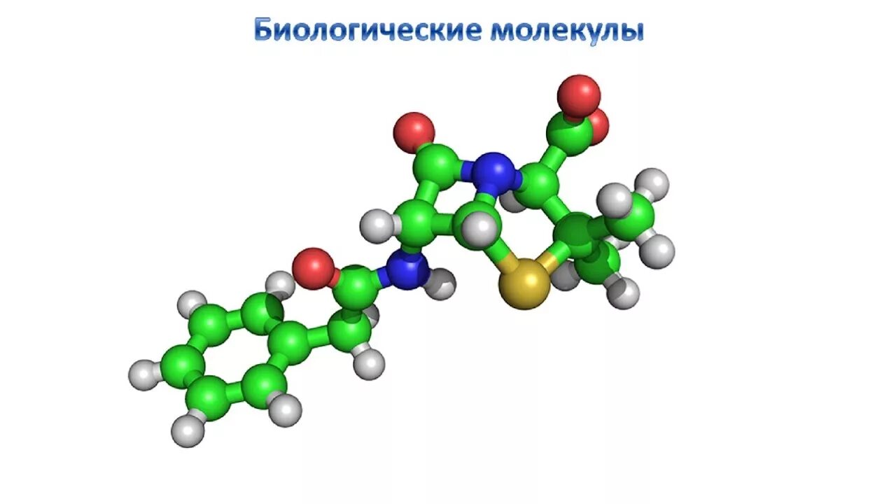 Функции биологических молекул. Белки химия. Молекула белка биология. Молекула это в биологии. Сложные биологические молекулы.