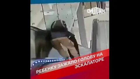 Зажал видео