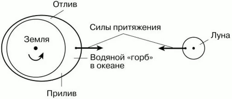 Притяжение воды луной. Схема приливов и отливов на земле. Схема влияние Луны на землю. Схема лунных приливов и отливов. Приливы и отливы схема.