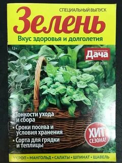 Voice collection дачная ул 2 отзывы