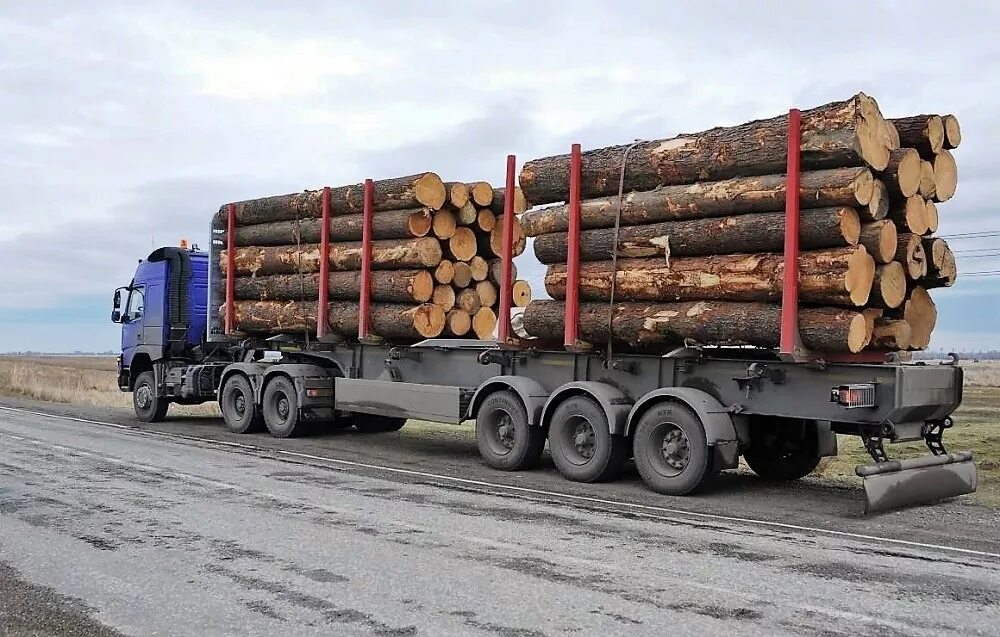 Камаз лесовоз полуприцеп с брёвнами. Урал 4320 лесовоз. Сколько леса лесовозе. Лес кругляк камаз лесовоз. Сколько леса лесовозе.
