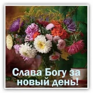 Спасибо господу за новый день