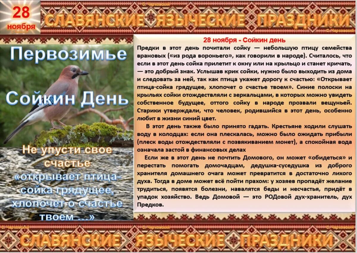 Примет 28 декабря. 11 Декабря день Сойкин день. Сойкин день народный календарь. 11 Декабря народный календарь. Народные приметы на 28 ноября.