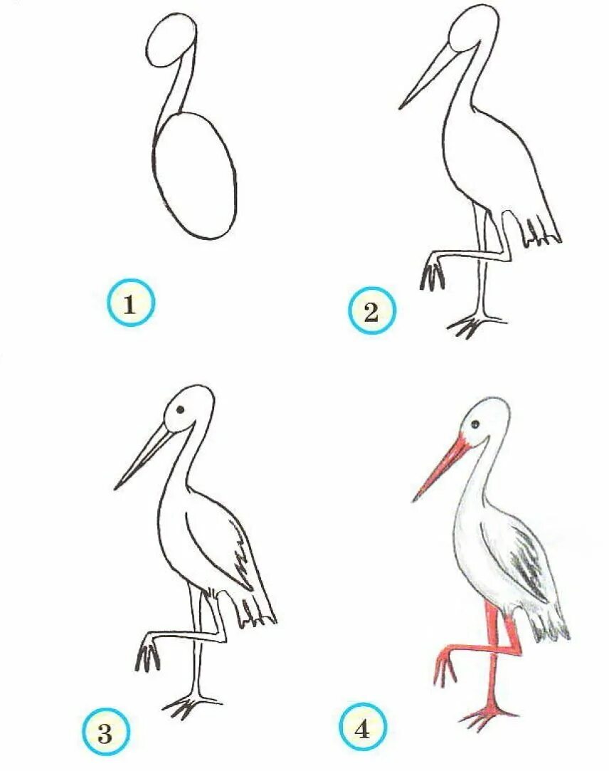 Аист рисунок для детей карандашом. Нарисовать аиста поэтапно. Журавль рисунок карандашом. Журавль рисунок для детей карандашом. Нарисовать журавля поэтапно для детей