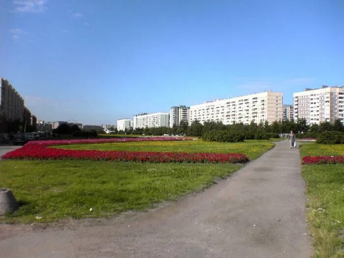 Мартыновский сквер спб. Парк долгоозерный санкт-петербург. Долгоозерный сквер. Парк озеро долгое санкт-петербург. Долгоозерный парк.