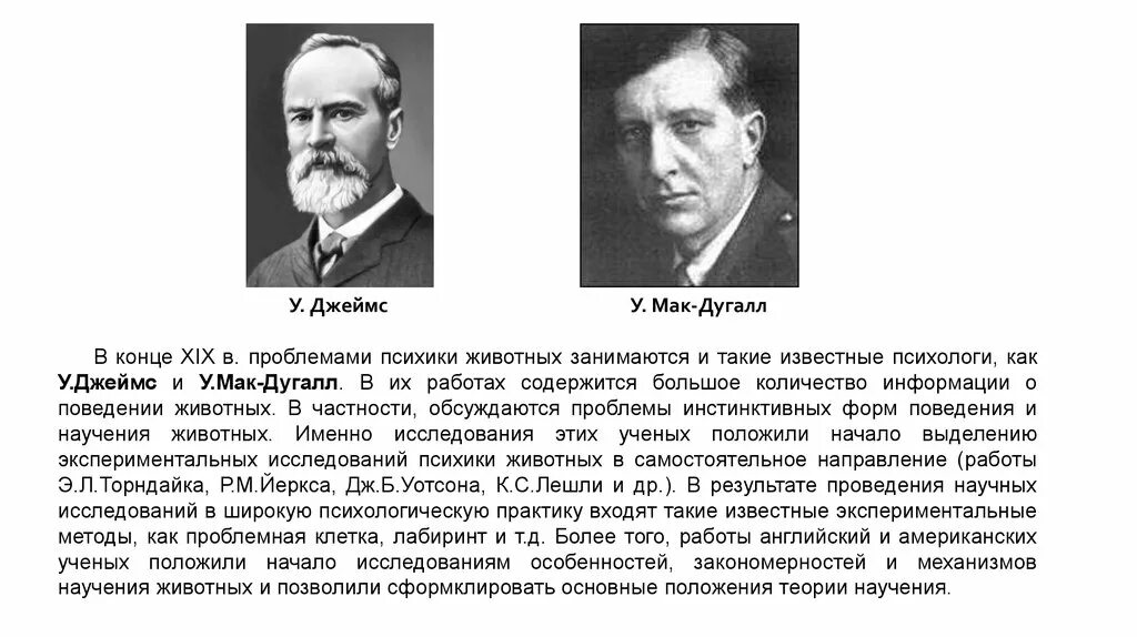 Представление ученых зверей. Уильям МАКДУГАЛЛ теория. Английского психолога в. МАКДУГАЛЛА (1871 — 1938). МАКДУГАЛЛ психолог.