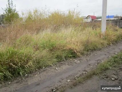 Курган участок 2