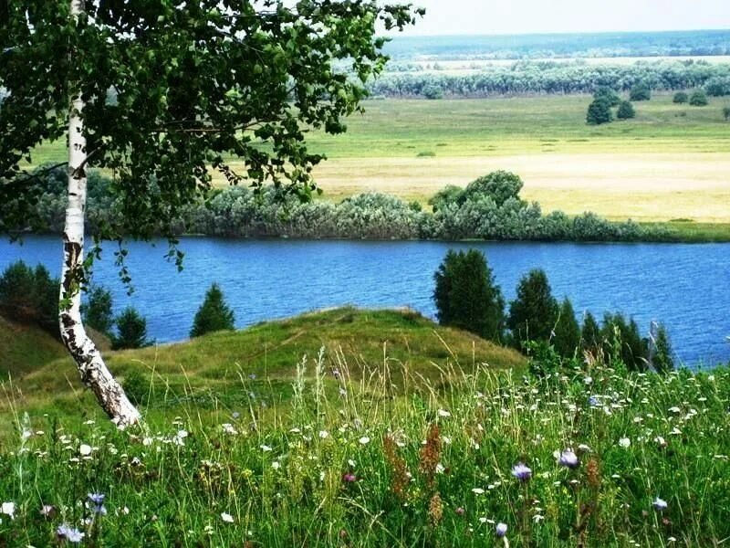 Родина Есенина природа. Константиново Есенинская Русь. Село Константиново о малой родине с.а.Есенина..