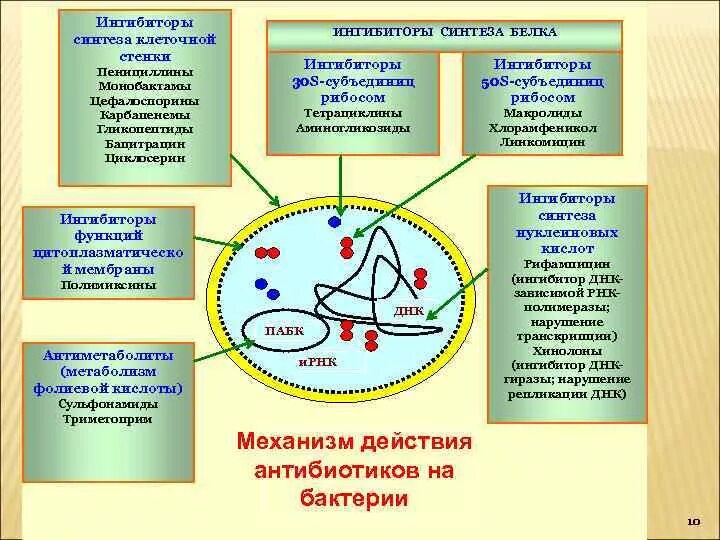 Ингибиторы клеточной стенки антибиотики. Ингибиторы синтеза клеточной стенки антибиотики. Ингибиторы синтеза бактериальной клеточной стенки. Ингибиторы синтеза клеточной стенки бактерий. Ингибиторы белка