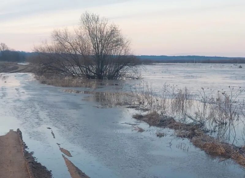 Уровень воды в сухоне сегодня