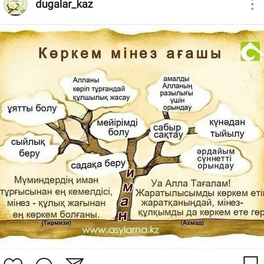 Алланын 99. Кличка на акерке. Есімі не мағына береді. Есімі не мағына береді. Есімі не мағына береді.